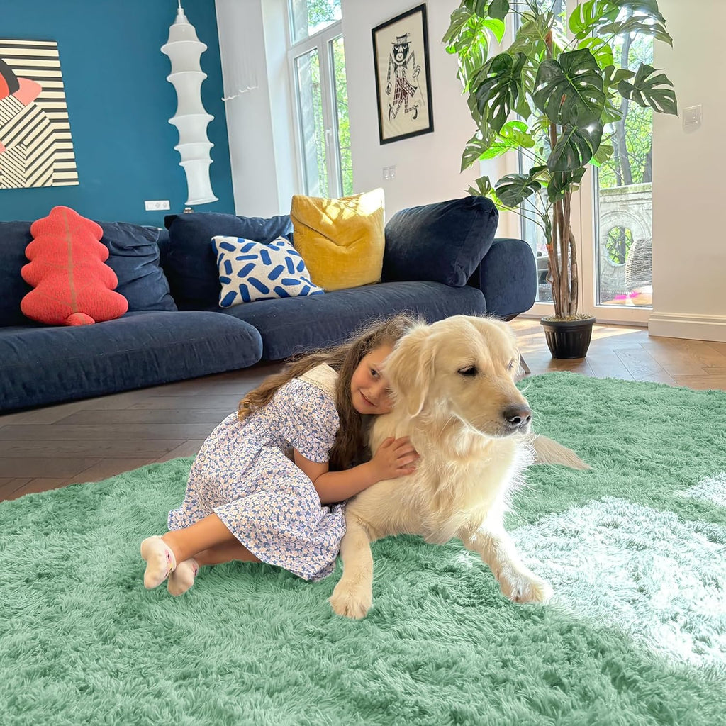 OLANLY Area Rugs - Soft Fluffy Shaggy Indoor Carpet for Living Room & Bedroom | 4x5.9 ft Mint Green