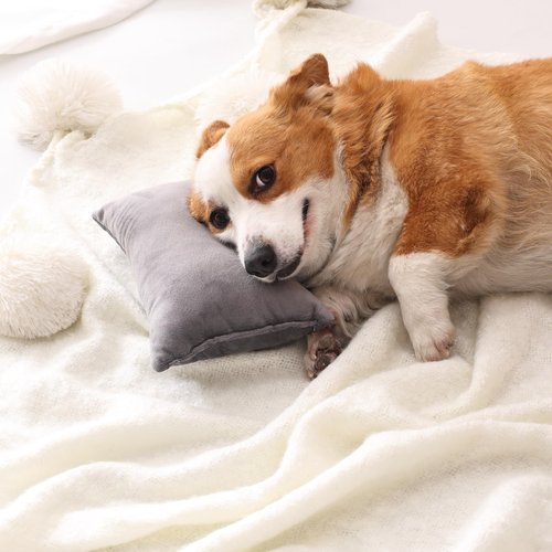 EVOLIVE Tiny Pillow, 2-Pack Gray Micromink Shell Mini Pillows, 11"x7" - Machine Washable, Lightweight, Breathable Multi-Purpose Travel Pillows for Neck, Back Support, Pet Use (Grey, 7"x11")