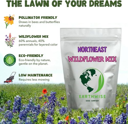 Earthwise Wildflower Seed Mix | Organic, Pollinator-Friendly, Low Maintenance - Covers 500 Sq Ft, 1/4 lb