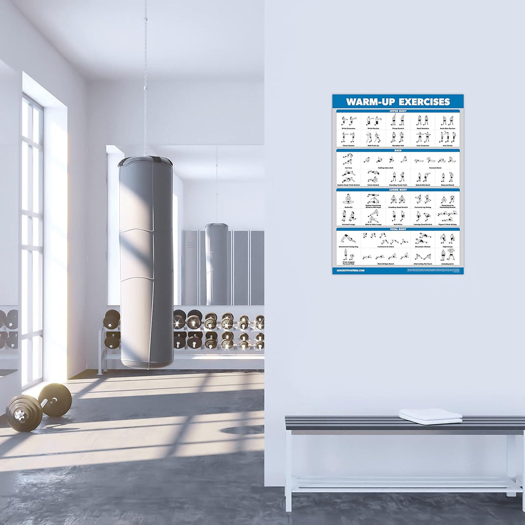 Palace Learning 4 Pack - Laminated Workout Charts for Dumbbell, Bodyweight & Resistance Band Exercises | 18” x 24”