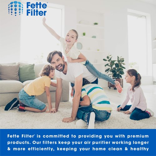 Fette Filter - Air Cleaning Filter, 9" x 15" Compatible With 3M Filtrete FAPF02 & FAPF024 for model # FAP01-RMS, FAP02-RMS, FAP02 - Pack of 4