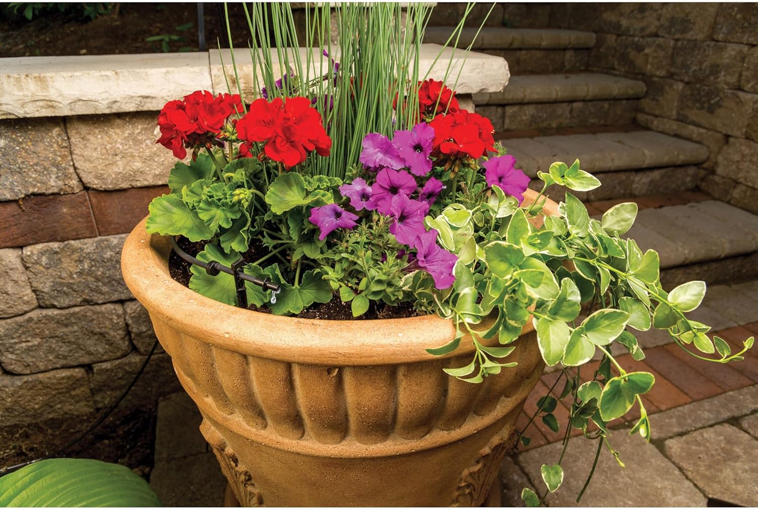 Rain Bird LNDDRIPKIT Drip Irrigation Kit - Efficient Landscape & Garden Watering System with Drippers & Micro-Sprays