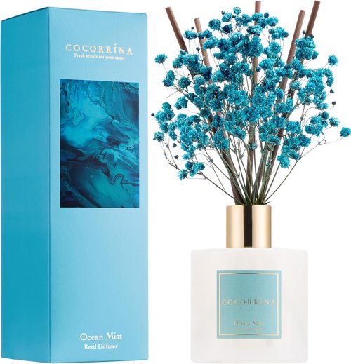 Cocorrína Reed Diffuser - Ocean Mist 6.7 Fl. Oz Set with Sticks & Preserved Baby's Breath | Home Decor