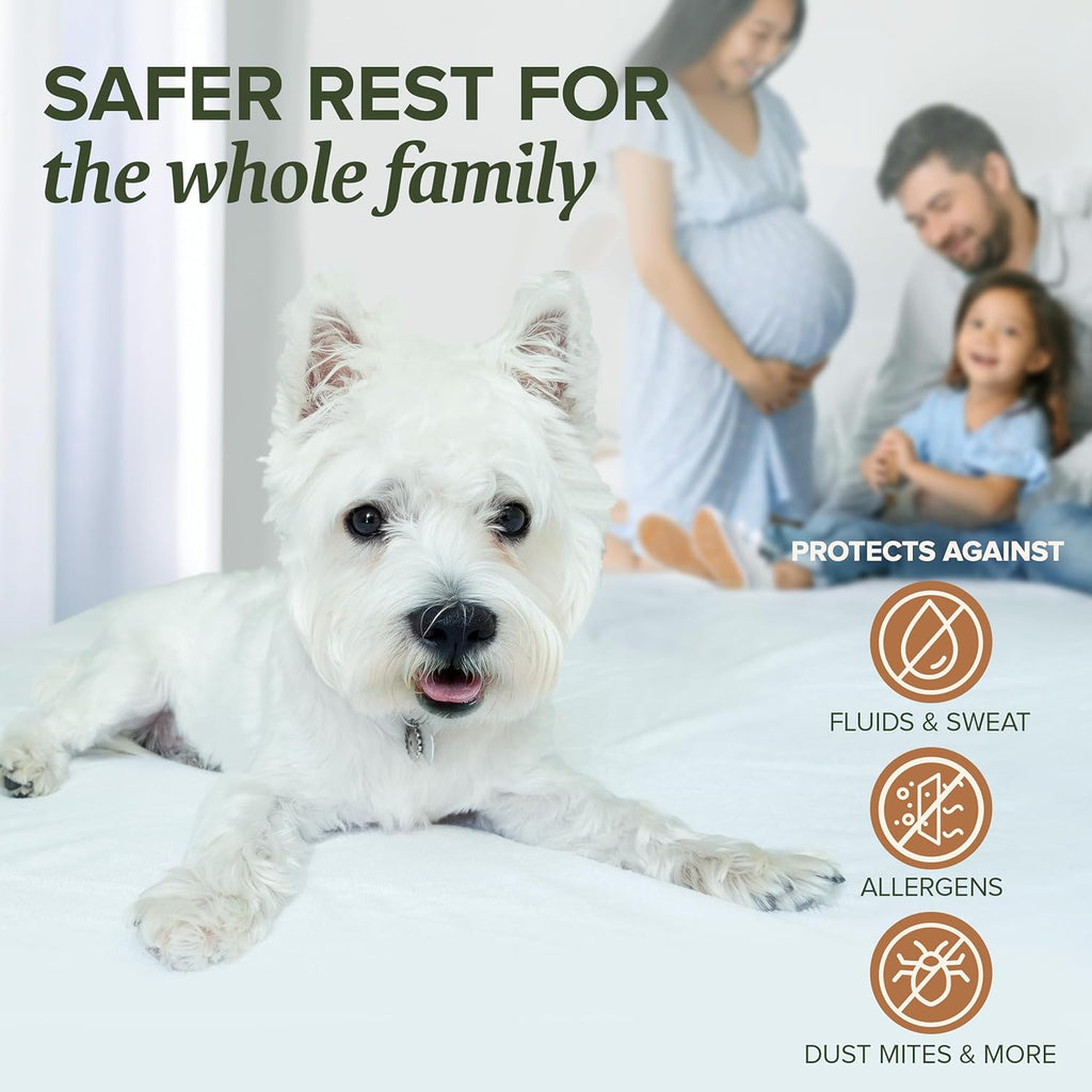 Beckham Hotel Collection Mattress Protector - Silent Waterproof Cotton Blend, Low-Profile Design, Queen