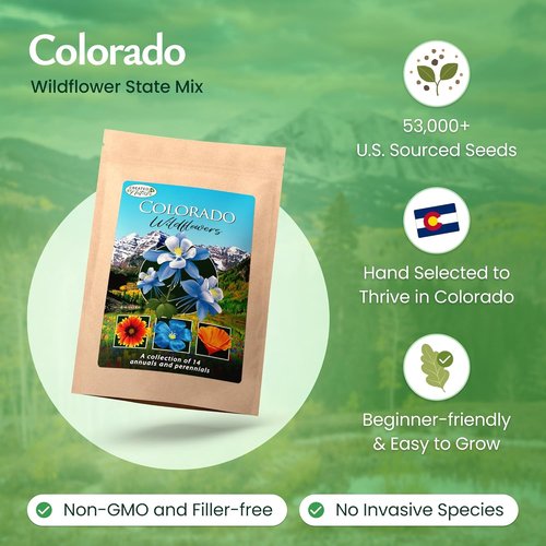 Created By Nature Colorado Wildflower Seed Mix - 14 Flower Varieties | 53,000+ Seeds for Vibrant Gardens