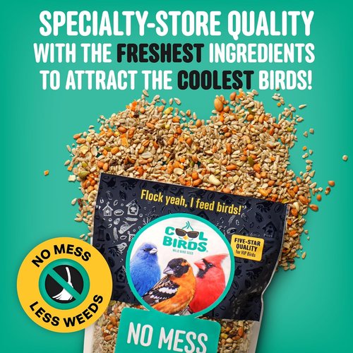 Cool Birds Wild Bird Seed - 100% Edible Shell-Free Blend with Real Fruit & Nuts | 10 lb No Waste Feeder Mix