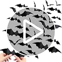 60PCS Waterproof Halloween Bat Stickers - 4 Sizes for Home Decor