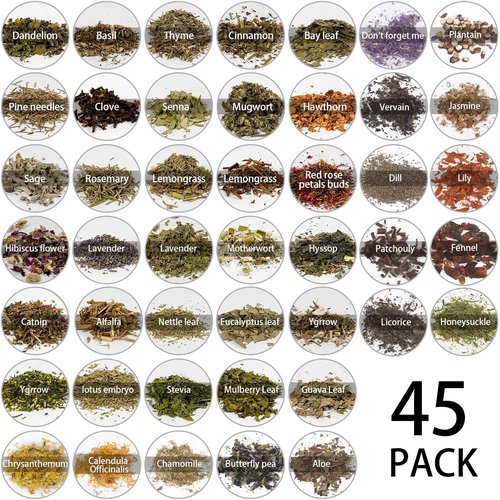 Witchcraft Supplies Herbs - 45 Bottles Dried Herbs Kit for Beginners - Altar Supplies Healing Herbal Natural Herbs Crystal Spoon for Wicca, Pagan Magic Spells and Bath