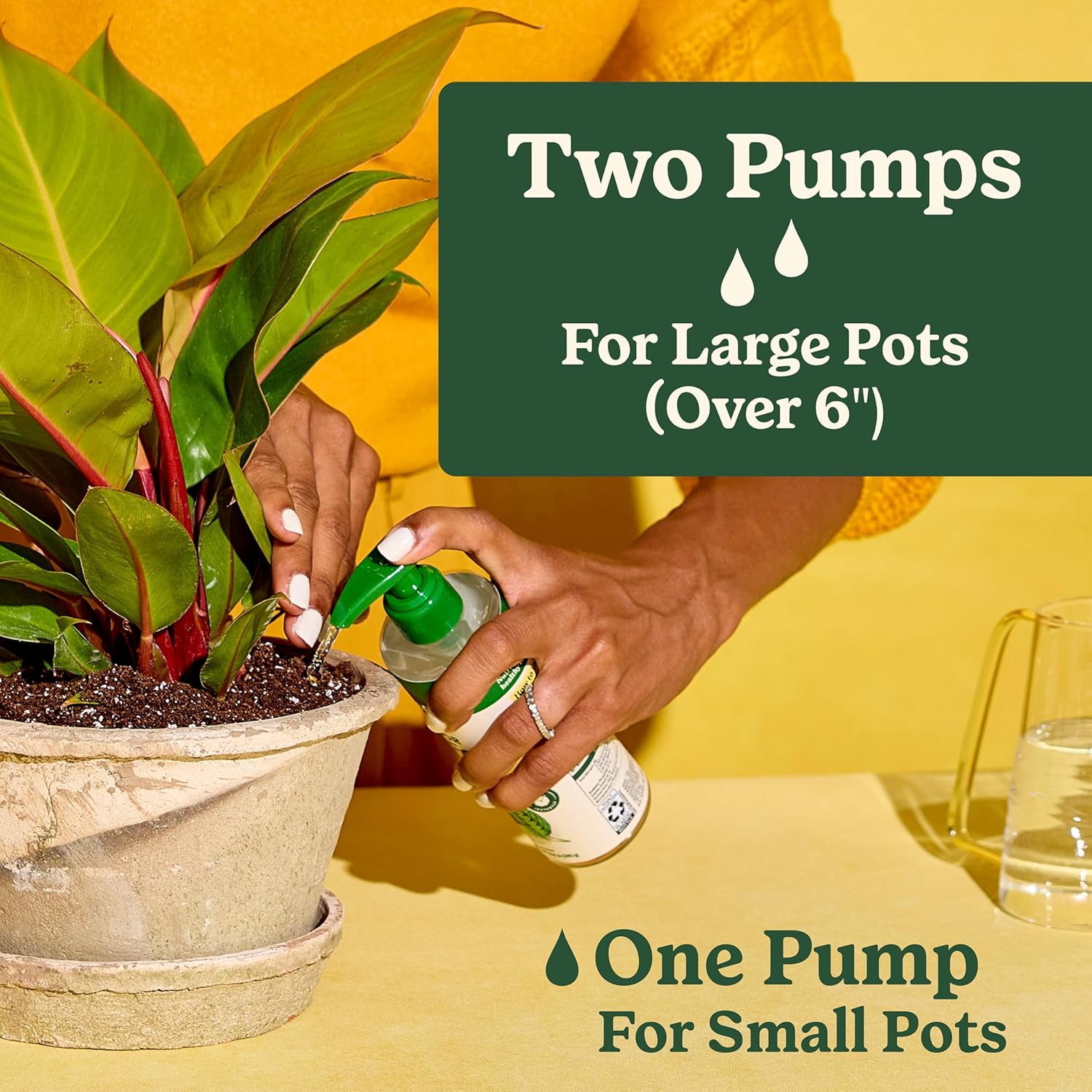 Miracle-Gro Indoor Plant Food - Liquid Nutrient Solution for Houseplants & Vegetables | 8 fl. oz. (2-Pack)