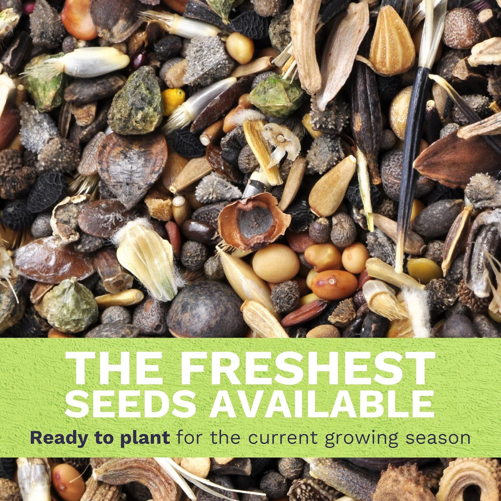 Pacific Northwest Regional Mix | Large 1 Ounce Packet of 24,000 Wildflower Seeds for Planting