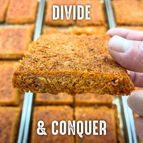 Sophos Survival Tray Dividers for Harvest Right Freeze Dryer Tray (Green, Set of 16 - Fits 4 Medium Trays)