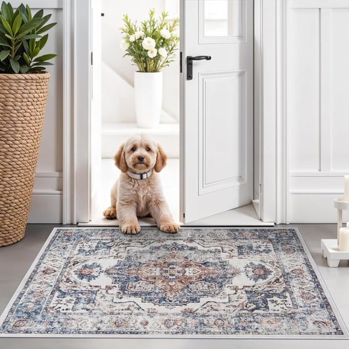 Hallway Washable Runner Rug - Vintage Soft Non-Slip Indoor Carpet for Entryway, Kitchen & Bathroom (2x3, Brick)
