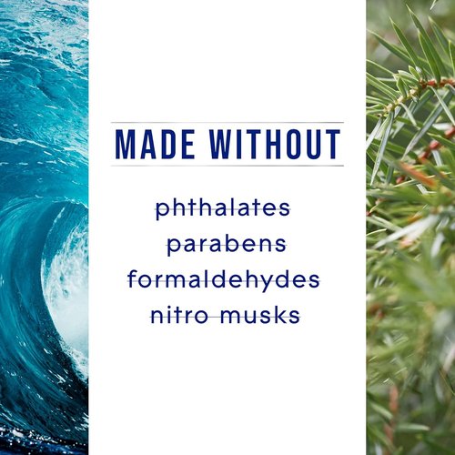 Glade 3-Wick Scented Candle Jar - Sea Mist & Cypress | Essential Oil Air Freshener, 6.8 Oz, 3 Count