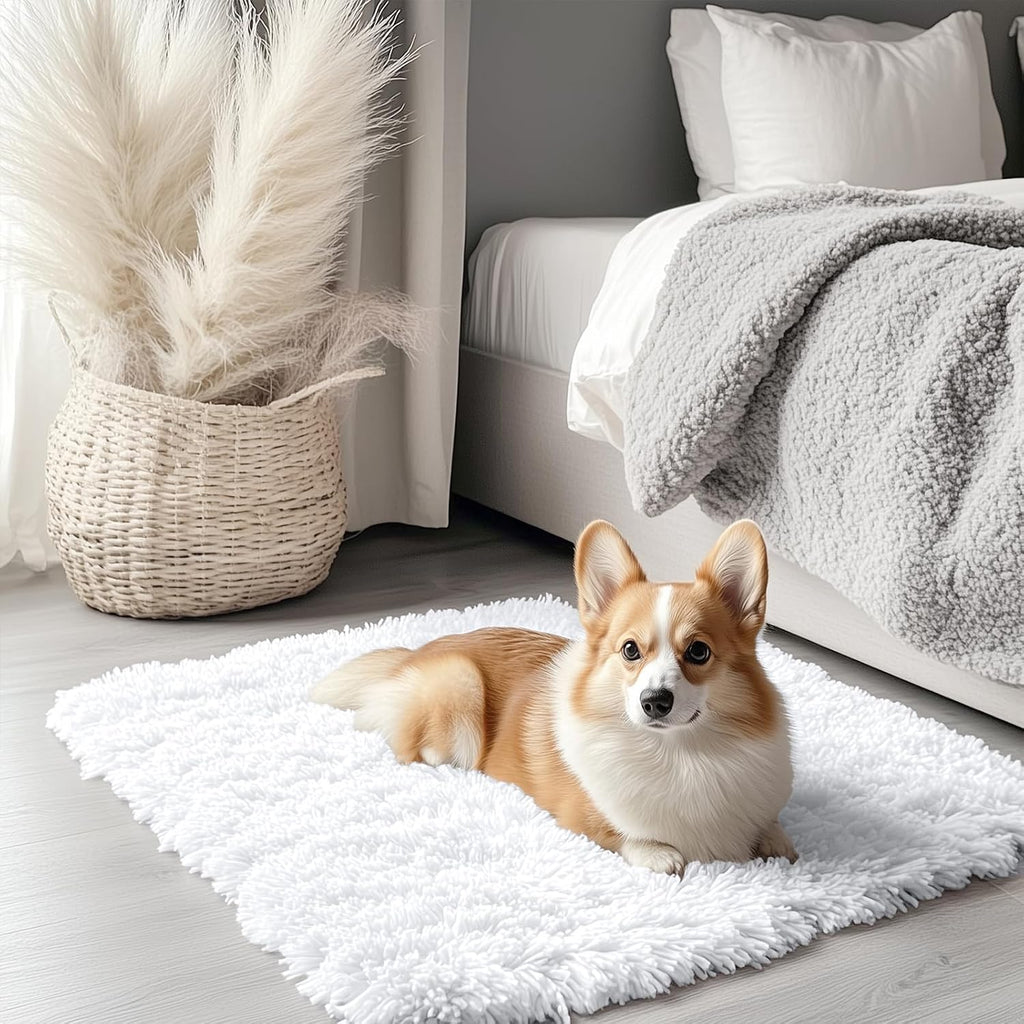 OLANLY Small Bedside Rug - Soft, Fluffy Shaggy Throw Rug for Bedroom & Living Room | White, Machine Washable