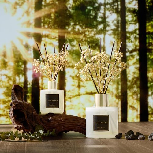 Cocorrína Reed Diffuser - Black Forest Scented 17 Fl. Oz Diffuser with 8 Sticks & Preserved Flowers | Home Decor