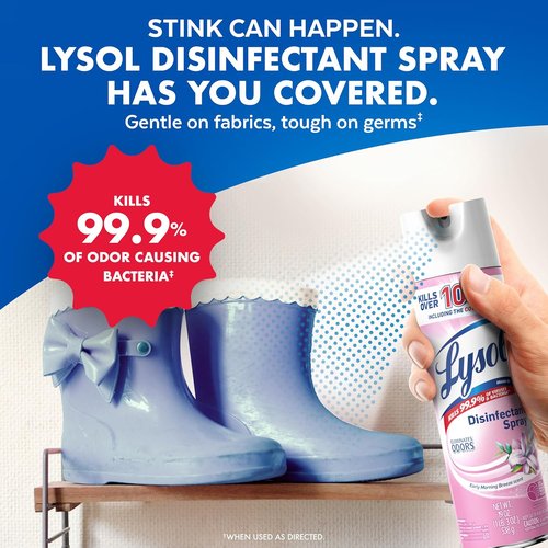 Lysol Disinfectant Spray - Antibacterial & Sanitizing Spray, Early Morning Breeze, 19 Fl Oz (Pack of 2)