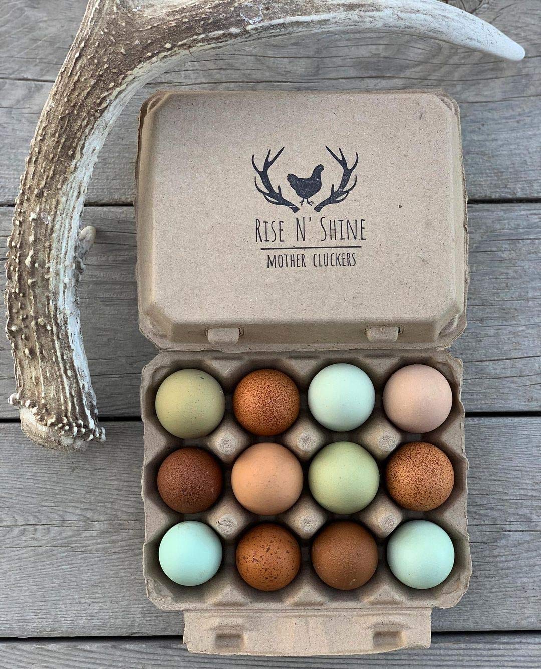 "Vintage Egg Cartons for 12 Large Eggs – Classic 3x4 Layout – Durable Recycled Cardboard – Farmhouse Style – Eco-Friendly Packaging - Tan 65 Pack