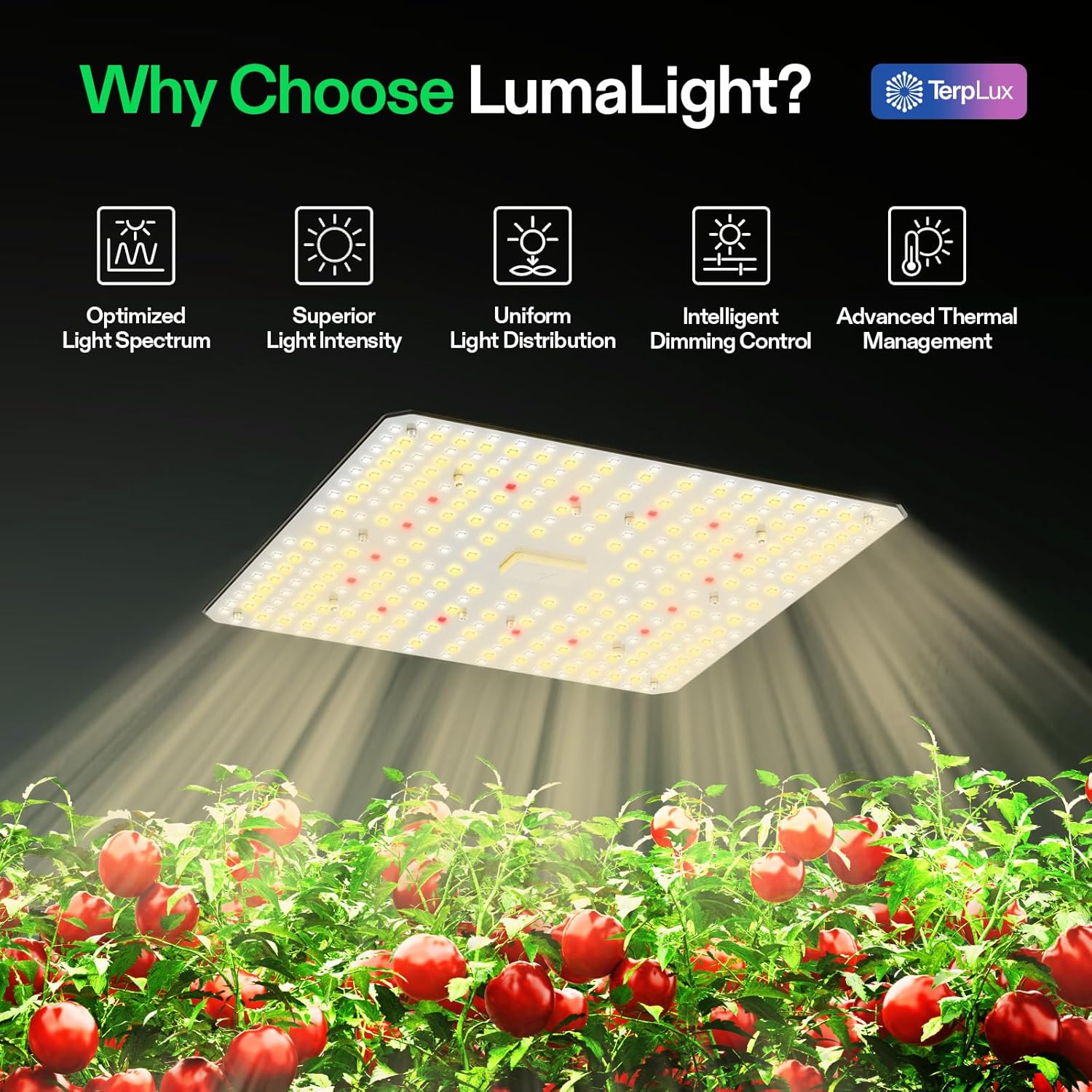VIVOSUN LumaLight 100W LED Grow Light - Full Spectrum, Smart Dimmable for Indoor Plants & Vegetables | Fits 2x2/2x4 Tents