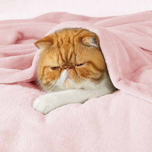 Bedsure GentleSoft Fleece Blanket - Cozy Pink Throw for Kids | Perfect for Travel, 43x55 Inches