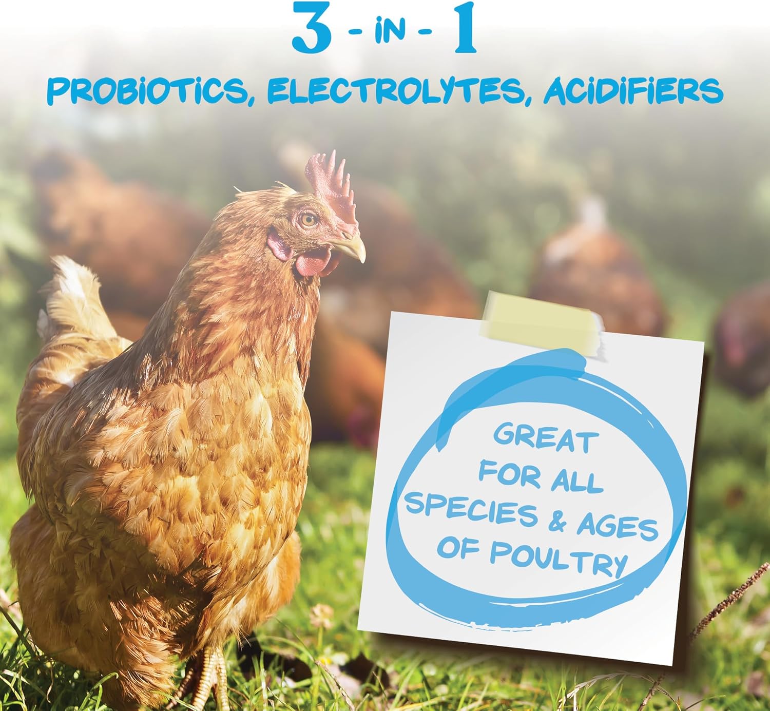 Manna Pro Hydro-Hen Poultry Electrolyte & Probiotic Supplement - Hydration Support for Chickens & Ducks, 20 oz