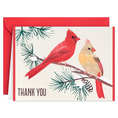 Hallmark Cardinal Thank You Notes (20 Cards with Envelopes) for Christmas, Holidays, Winter