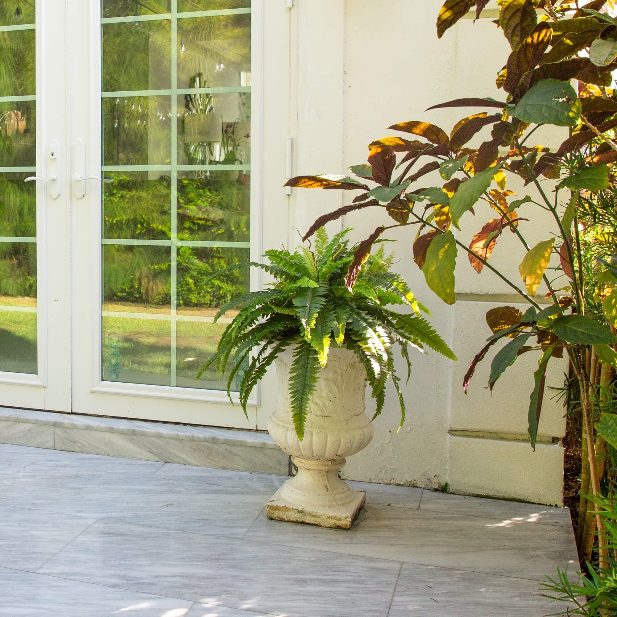 Nearly Natural 40-in UV Resistant Artificial Boston Fern, Set of 2, Large Hanging Fake Plant Wall Decor with 53 Fronds, Faux Fern Vines that Look Real for Home & Garden Decor, Outdoor Porch Decoration