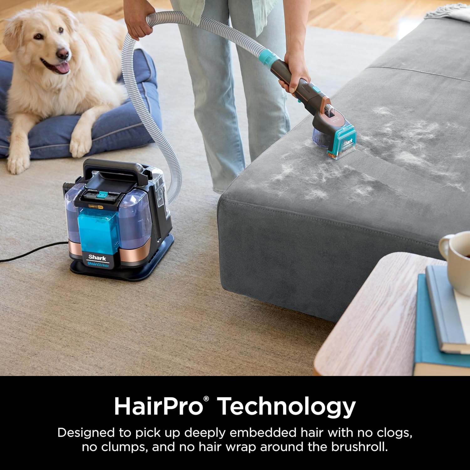 Shark StainStriker HairPro Portable Carpet Cleaner - Self-Cleaning with Pet Tools & Solutions | Copper, 4 Cleaning Tools
