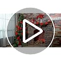 Artificial Christmas Poinsettia Bundle 18 Inch 5 Heads - Red Holiday Decor - Variation of 18