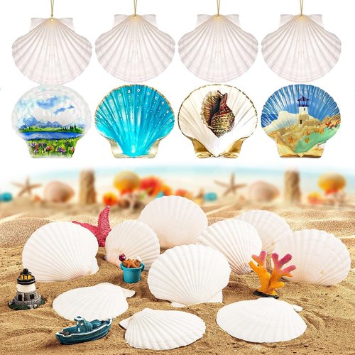 30PCS Natural Scallop Shells 2.3''-3'' White Sea Shells for DIY Craft Making, Hand Painting, Ocean Themed Party and Home Décor