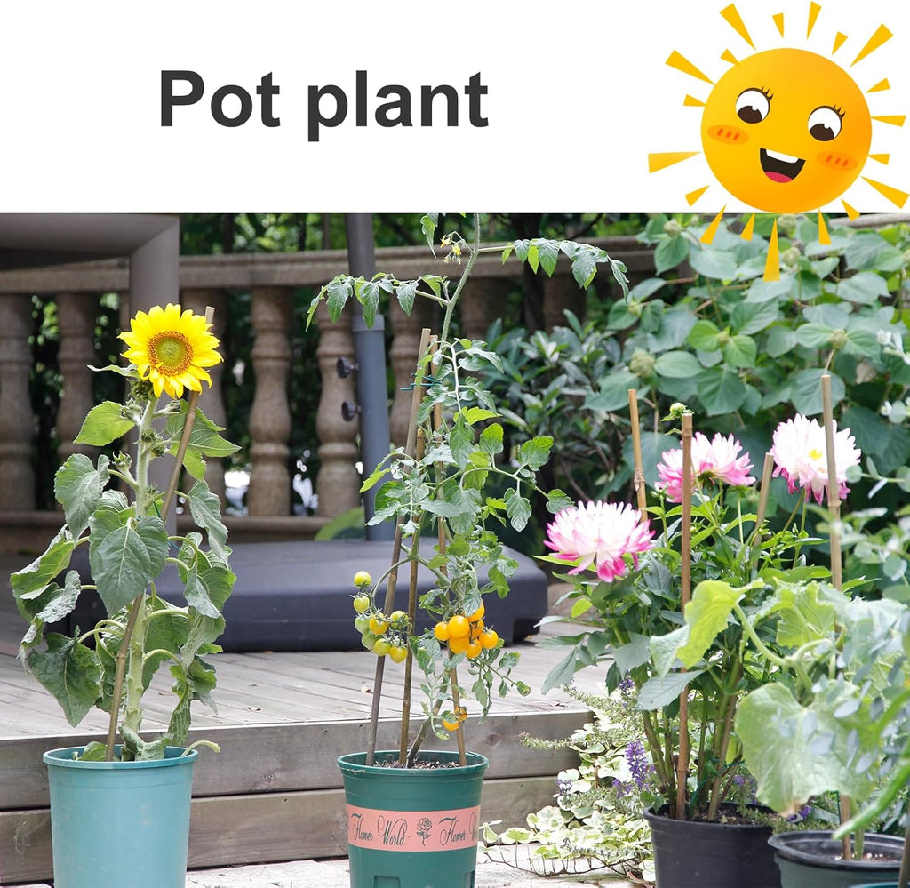 Bamboo Stakes - Eco-Friendly Plant Support Poles | 50-Pack, 4.8FT Height for Tomatoes, Beans & Flowers