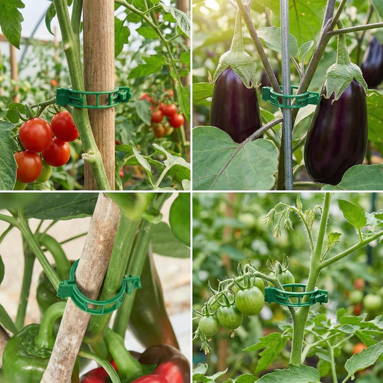 Skiennix Plant Support Clips - 60 Pcs Plastic Clips for Securing Tomato Vines & Climbing Plants