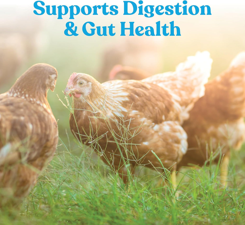 Manna Pro Hydro-Hen Poultry Electrolyte & Probiotic Supplement - Hydration Support for Chickens & Ducks, 20 oz