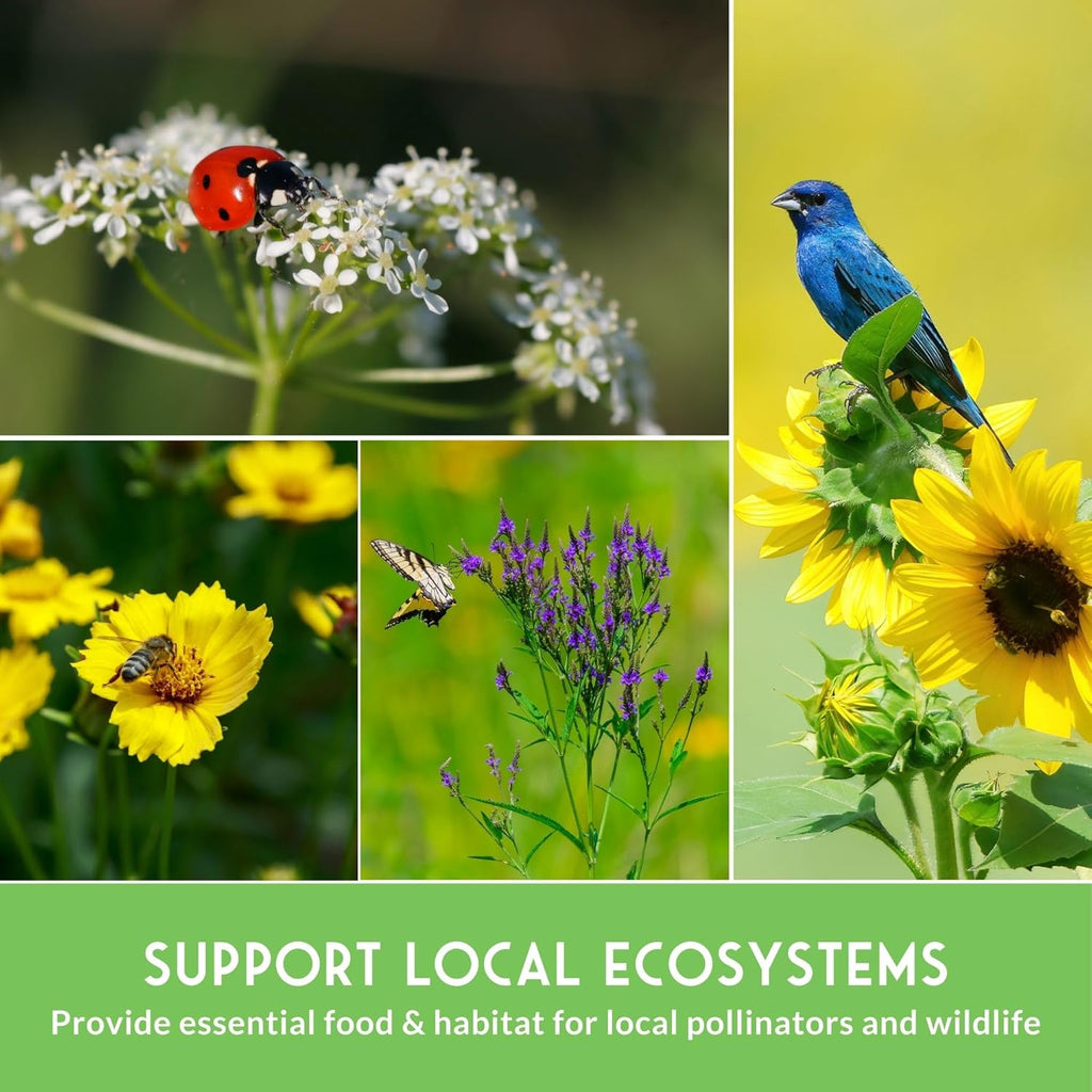Native Wildflower Seeds | 24 Variety Pack for Butterfly & Bee-Friendly Gardens - Non-GMO Heirloom
