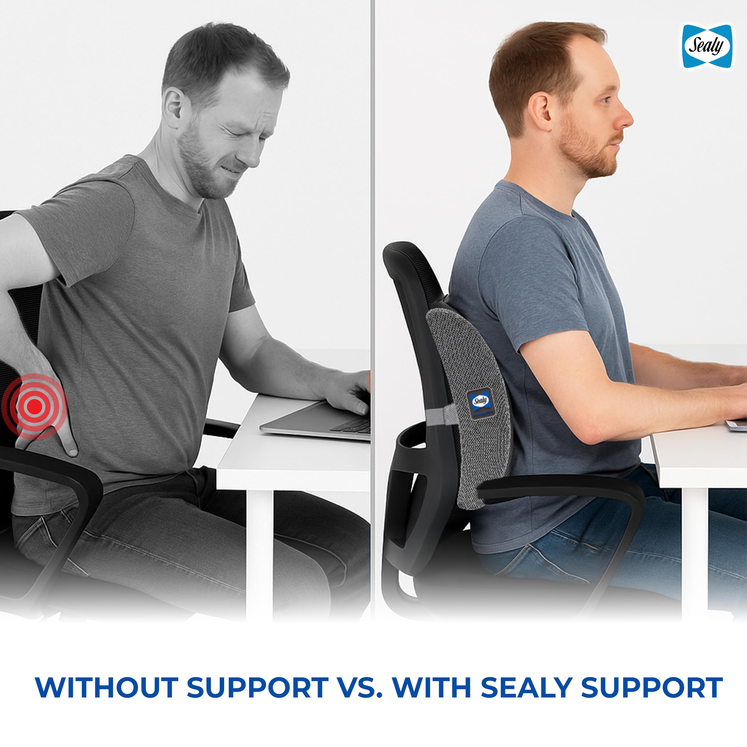 Sealy Ergonomic Lumbar Support Pillow for Office Chair and Car Seat - Memory Foam Back Support Lumbar Pillow, Premium Cushion Chair Support for Lower Back Pain Relief and Versatile Use (Gray)