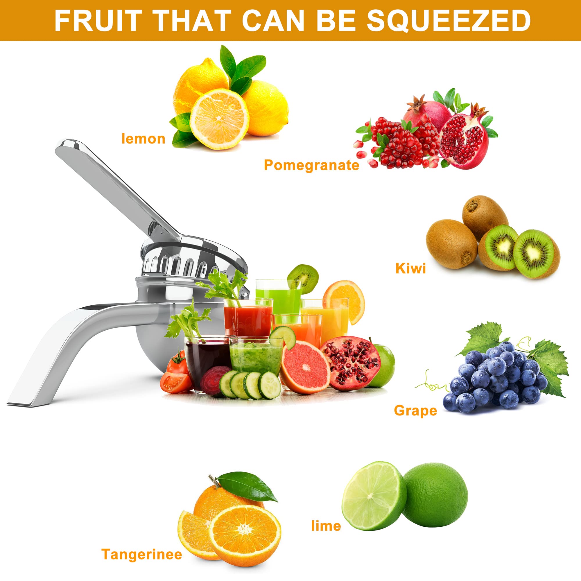 Miscedence Large lemon squeezer, Manual Juicers stainless steel citrus juicer All Size Fruits Can Squeeze Juice, Large Yield, Suitable For Lemons, Oranges, Pomegranates, Grapes