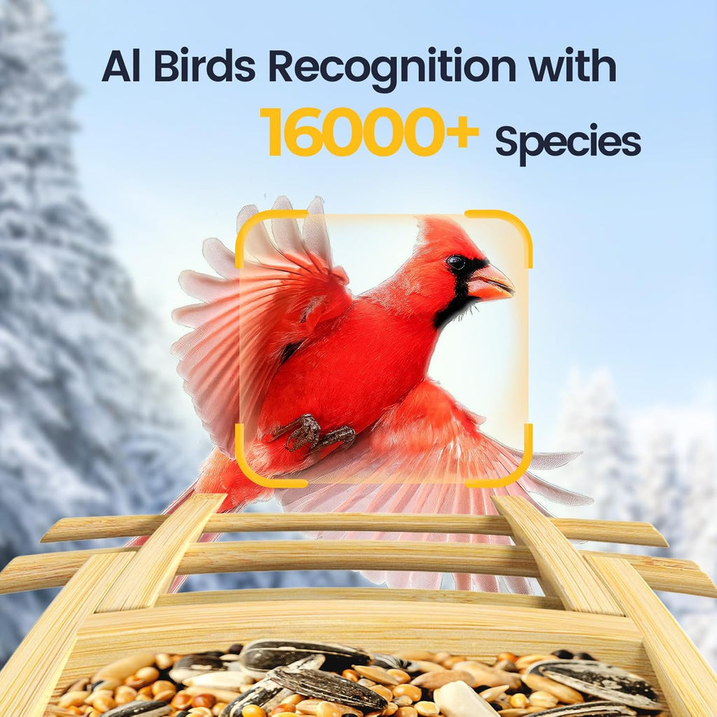 Skiennix Smart Bird Feeder - 2K HD Camera with AI Bird Identification & Solar Power | Bamboo Design