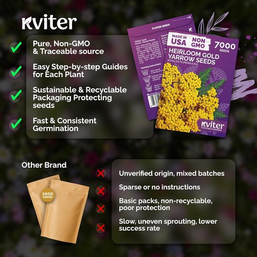 KVITER 7000 Gold Yarrow Seeds - Organic Perennial Flower Seeds for Herb Gardens & Meadows