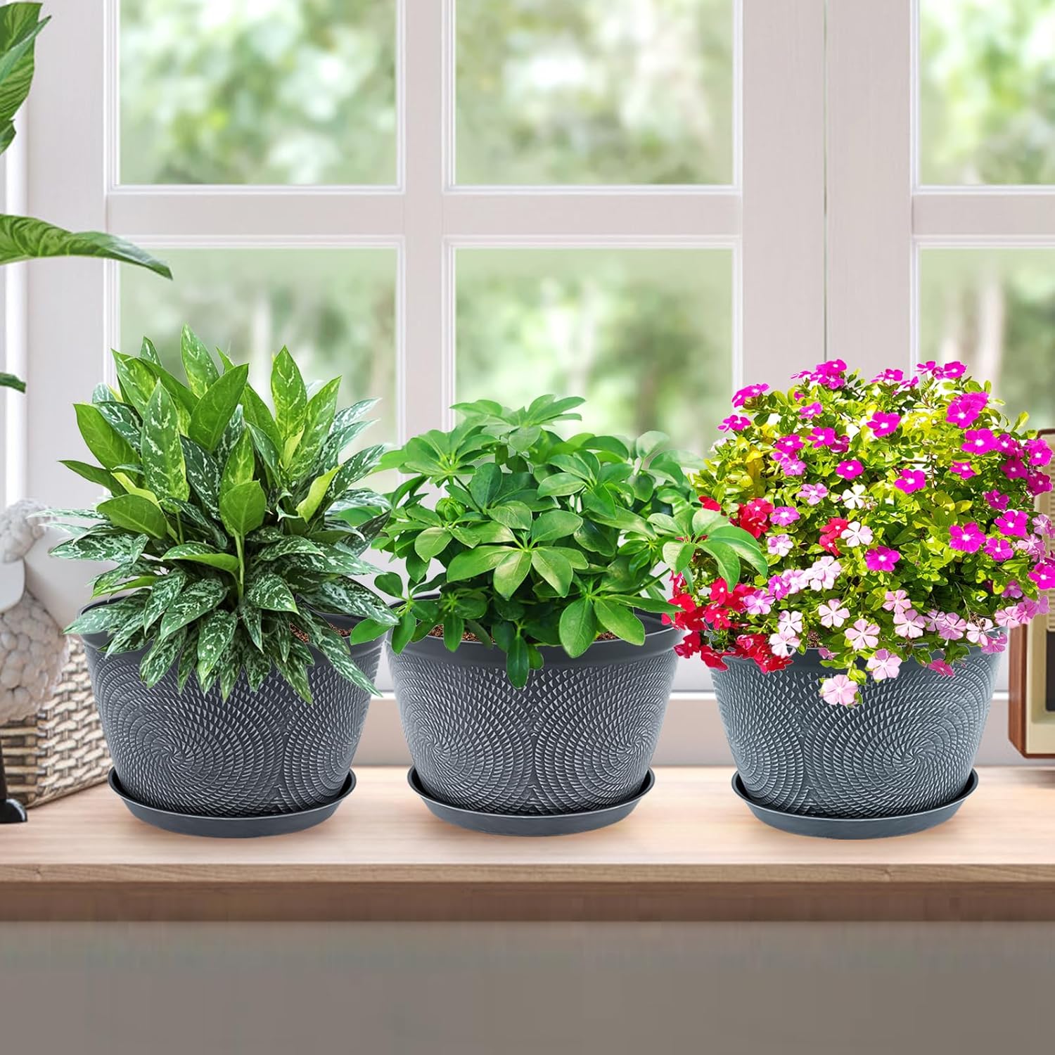 Quarut 10 Inch Flower Pots - 3 Pack Plastic Planters with Drainage Tray | Modern Gray Garden Pots