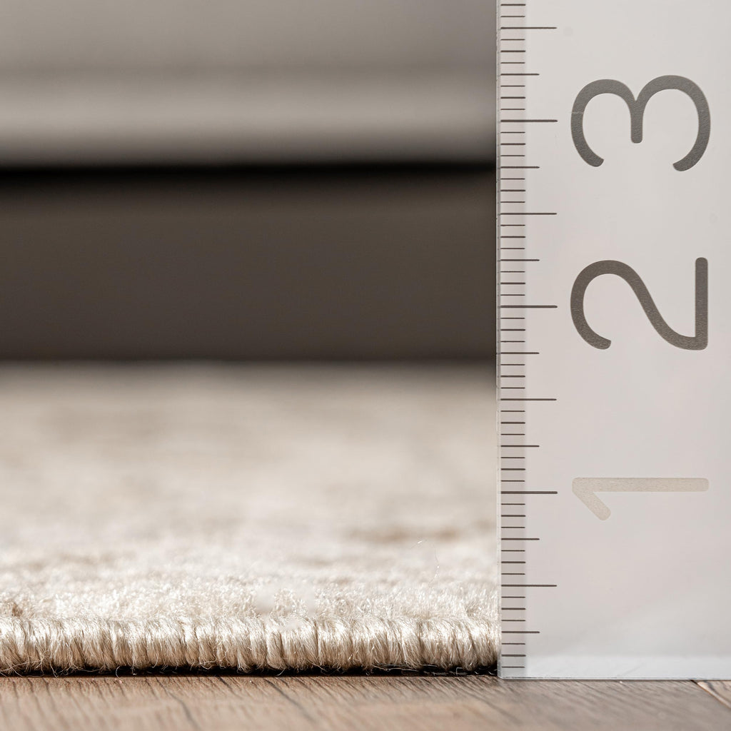 Nuloom Freja Beige/Ivory, 6'7" x 9' Oval, Distressed Floral, Soft and Cozy, High Traffic, Stain Resistant, Easy Clean, Durable Area Rug for Bedroom, Living Room, Dining Space, Den, Foyer, Entryway