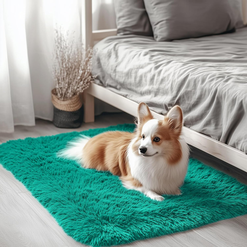 OLANLY Soft Fluffy Shaggy Bedside Rug - Machine Washable Indoor Carpet for Kids | Teal Green, 2x3 ft