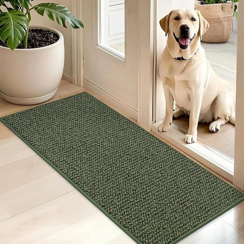 BEQHAUSE Dirt Trapper Door Mat - Non-Slip, Washable, Absorbent Entrance Mat | 20" x 48", Green
