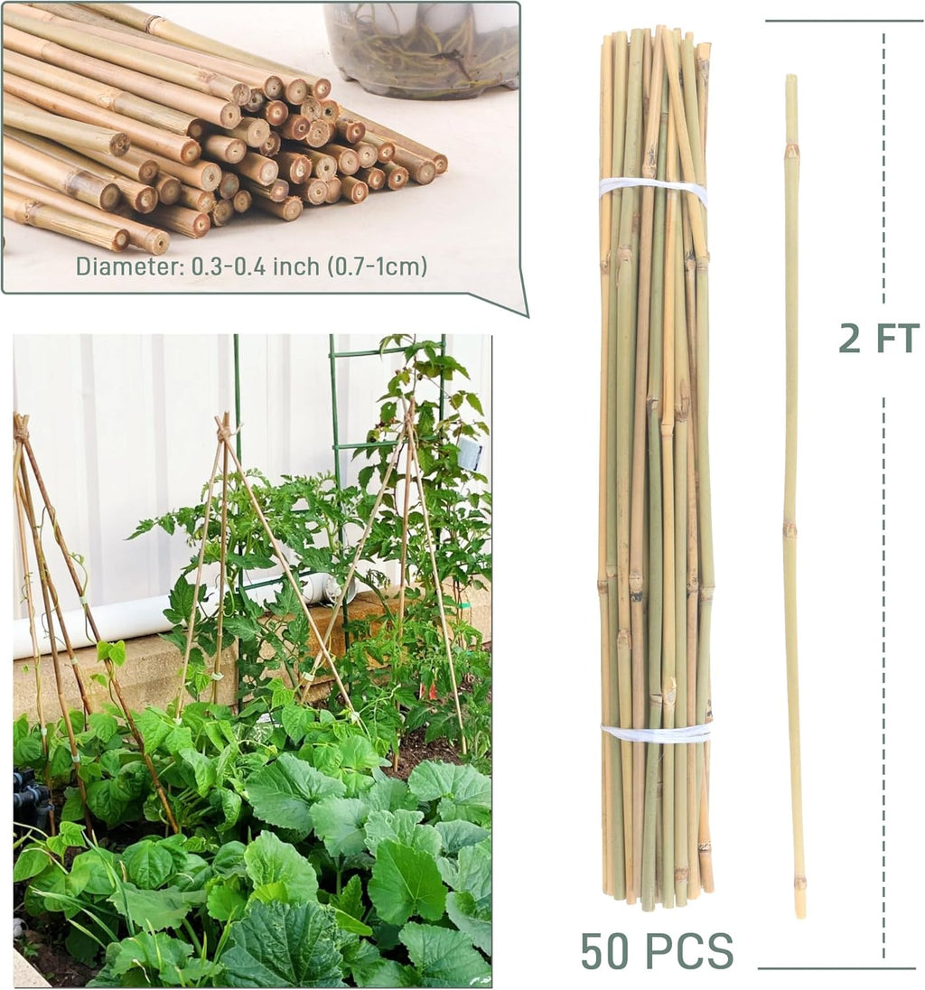 Bamboo Plant Stakes - 50 Pcs 2ft Garden Support Sticks for Indoor/Outdoor Plants | Ideal for Tomatoes, Vegetables, and Climbing Plants