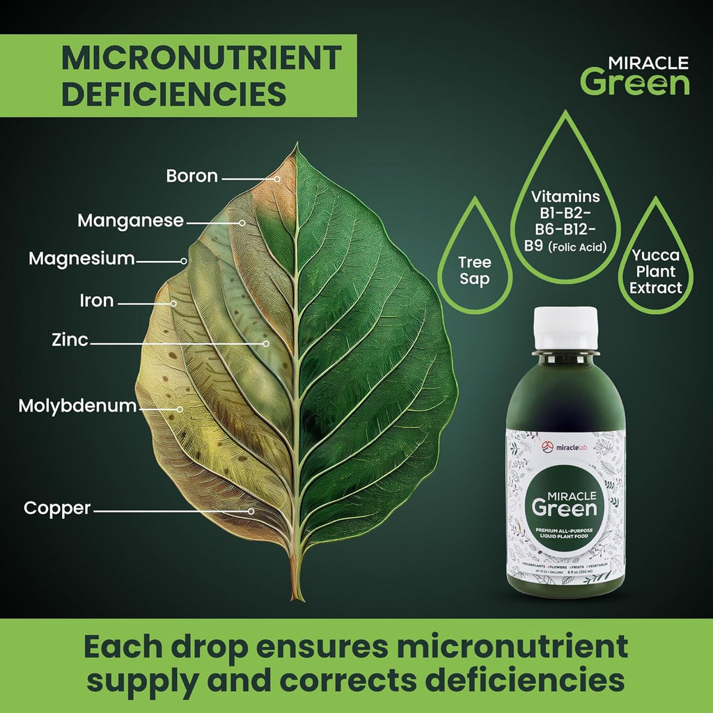 Miracle Green Fast-Acting Liquid Fertilizer - Special Tree Sap & Yucca Extract Formula | All-Purpose Plant Food (8 oz)