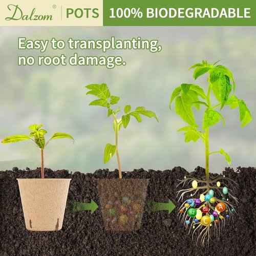 Dalzom® Biodegradable Peat Pots - 60Pcs 3.1” Seedling Pots with Drainage Holes & Labels