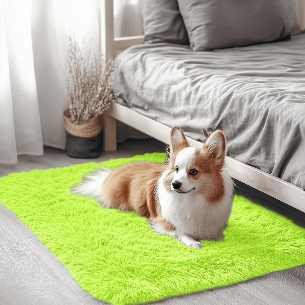 OLANLY Soft Fluffy Shaggy Bedside Rug - Machine Washable 2x3 Entryway Carpet in Lime Green