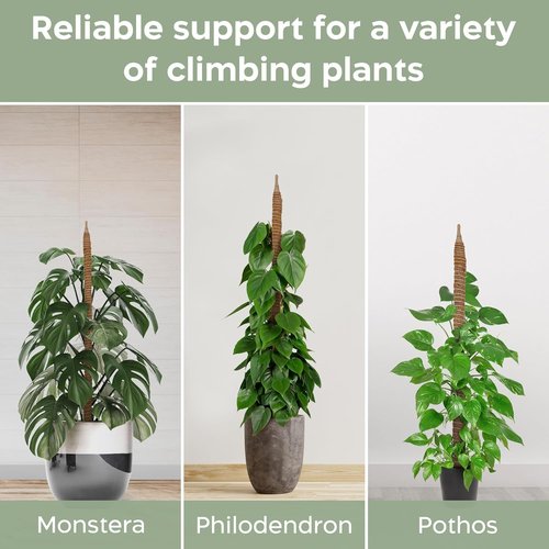 K-Brands 3 Pack Bendable Moss Pole | 48'' & 28'' Monstera Plant Support for Indoor Climbing Plants