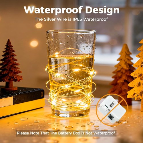 Litogo 20 LED Fairy Lights | 24 Pack 7FT Waterproof Mini Twinkle String Lights - Warm White for Weddings & Parties