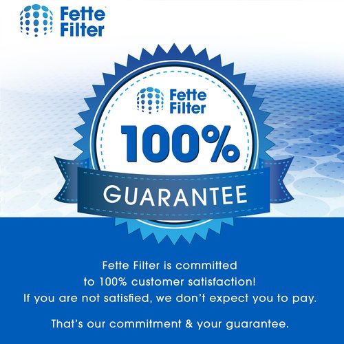 Fette Filter - Vacuum Cleaner Filters Compatible with EUREKA NEU100 NEU102 NEU10AE2 NEU10AE4 NEU10AE5 BDLCE101 BDLCE101C Airspeed Upright Vacuum Cleaner. Compare to E0106 - Pack of 4