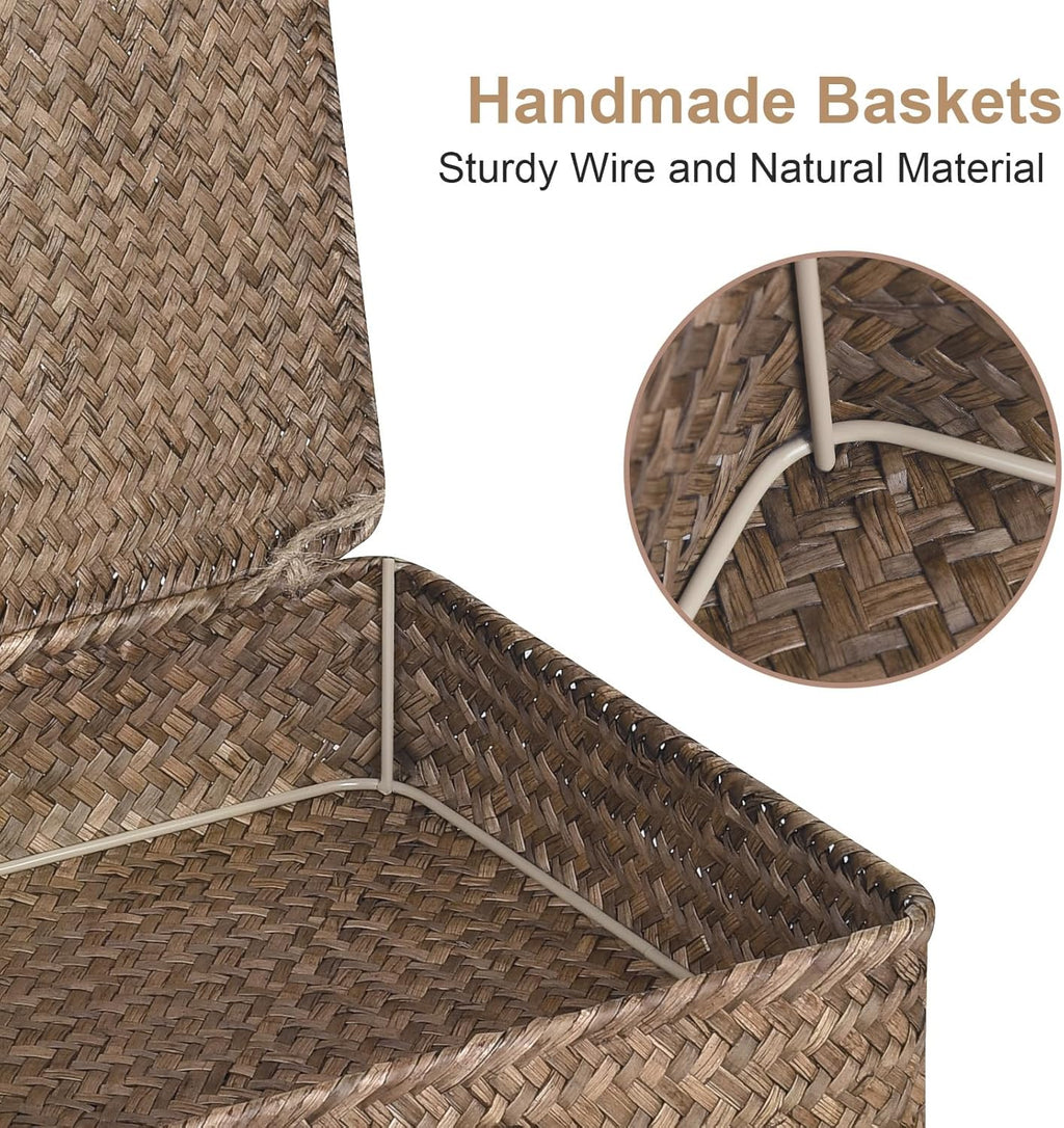 Seagrass Storage Bins Set of 2 - Woven Organizing Baskets with Lids for Home & Office (Coffee)