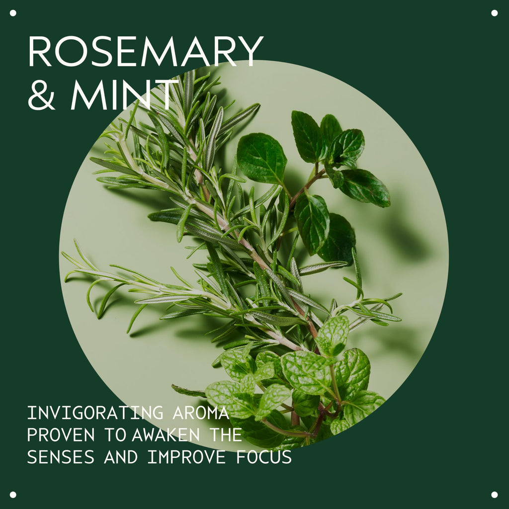 Aveda Rosemary Mint Vegan Soy Wax Candle | Invigorating Aroma of Certified Organic Peppermint, Spearmint, Rosemary | 100% Naturally Derived*